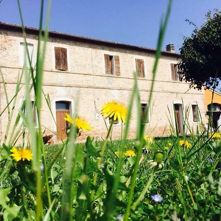 Il Rudere Bed & Breakfast Ravenna Exterior foto