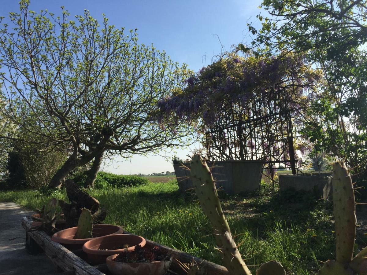 Il Rudere Bed & Breakfast Ravenna Exterior foto