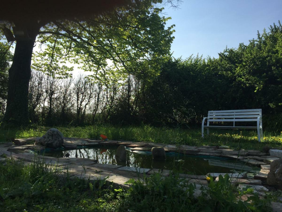 Il Rudere Bed & Breakfast Ravenna Exterior foto